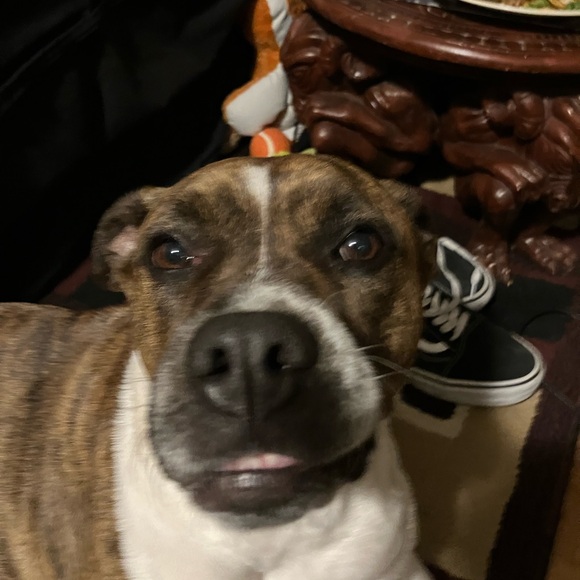 Hello there! - Picture 4 of 11